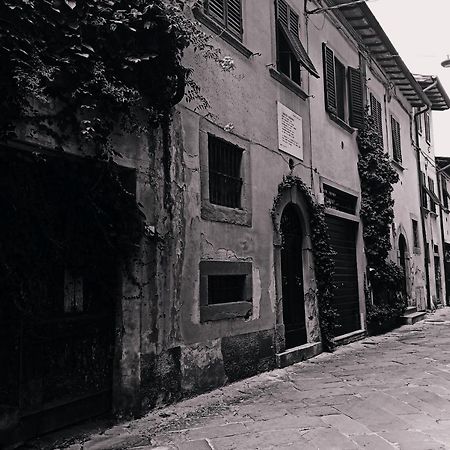 Dimora Coccapani Apartment Pisa Exterior photo